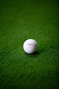 Bez strachu! Jin Young Ko odgania łabędzia przed puttem na greenie
