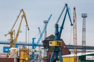Pierwsze potwierdzone zdjęcie kolosalnej kałamarnicy w głębokim oceanie